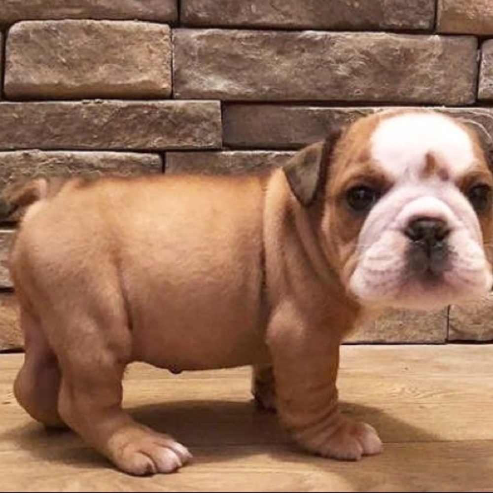 Meet your Posher, Rich